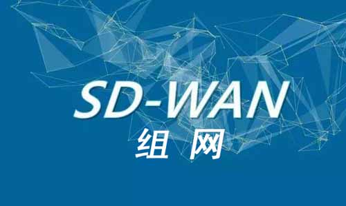 SD-WAN組網(wǎng)