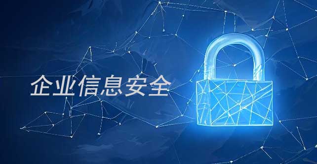 企業(yè)信息安全服務